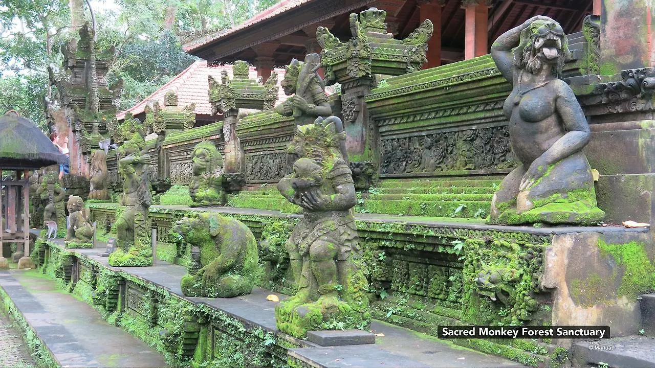 *** Prázdninový areál Zen Premium Ubud Bisma 3 Indonésie